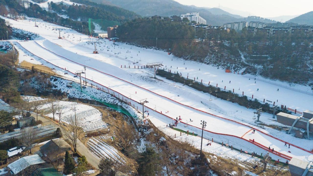 Hotel Bears Town Pocheon Exterior foto